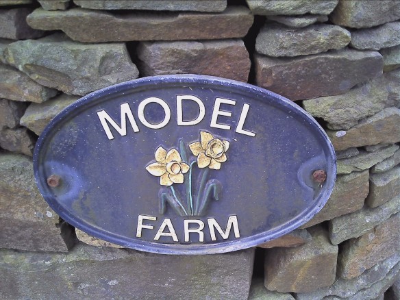 model-farm